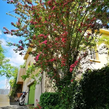 Chanoine Poupard نانت